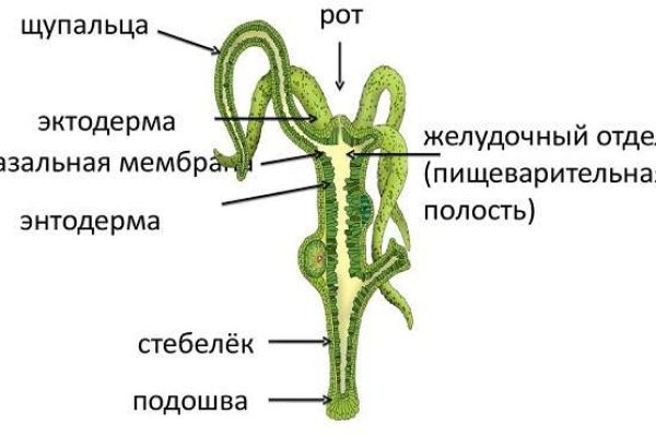 Кракен оф ссылка